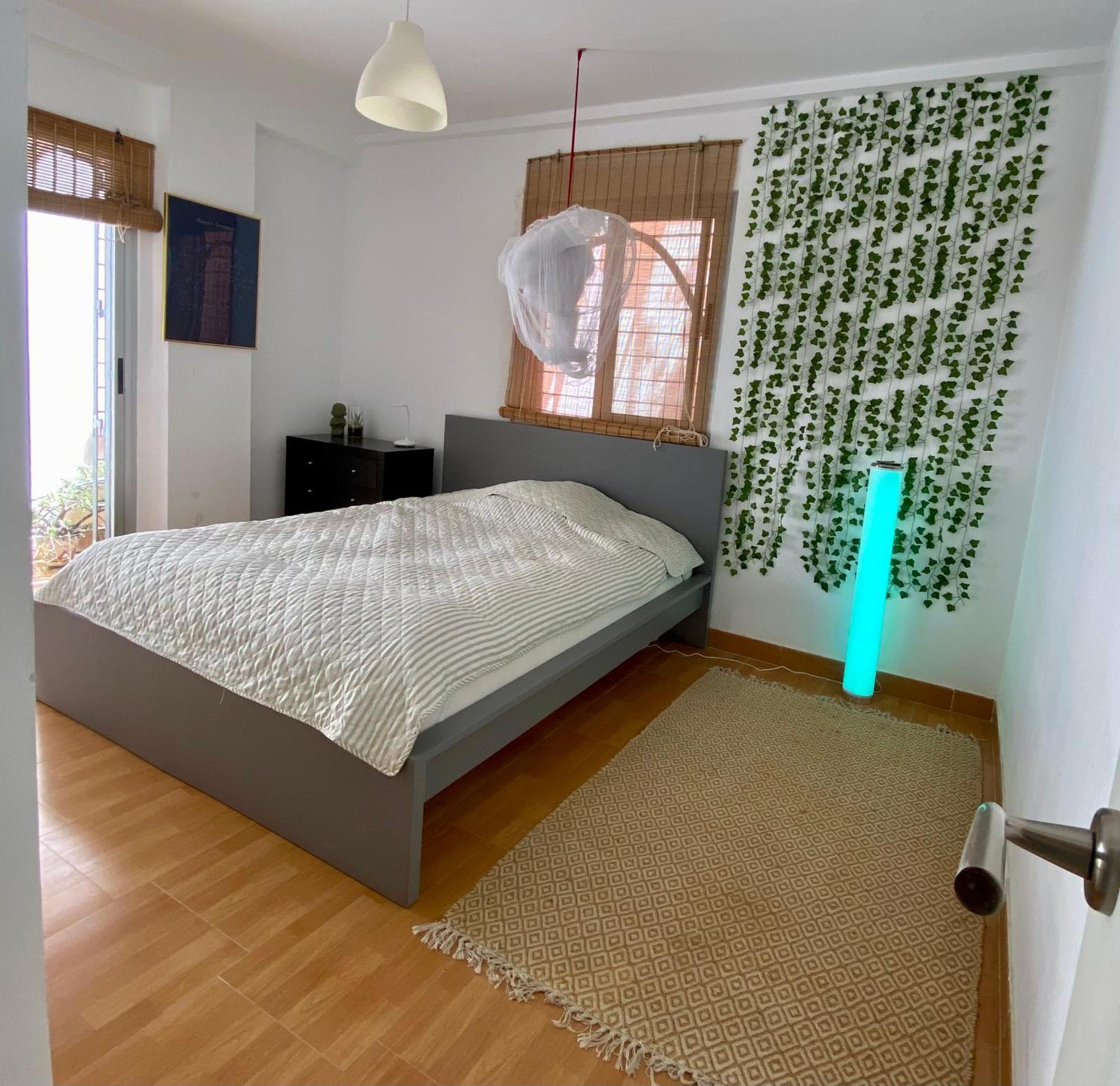 Skydiversnestdotcom Apartment *